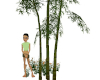 Bamboo Tall 01