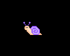 Tiny Purple Snail