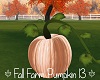 Fall Farm Pumpkin 13