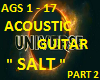 ACOUSTIC GUITAR SALT -P2