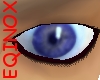 Eqinox Blue Eyes (m)