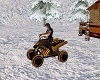 custom snow buggy