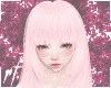 ¤ holic pink