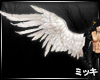 ! Demi-God Angel Wings