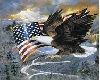 eagle/USAflag