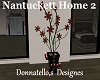 nantuckett 2plant
