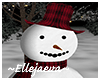 Winter Snowman & Poses