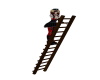 wooden ladder with pose