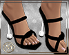 ℳ▸Tera Pumps B.
