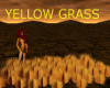 Yellow grass