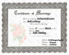 marriage certificate2