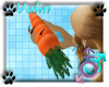 .v. Pri's Carrot M/F