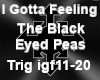 I Gotta Feeling Pt2 TBEP