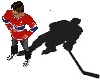 Hockey Shadow