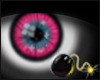 Bberry Bomb unisex eyes