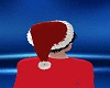 🎅 Santa Hat F,M