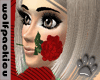 [wp]Red Rose Tango