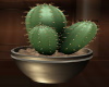 [CI]Cactus Potted 5