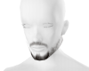 Asriel beard |pirate1