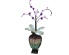 Dark fae blooming plant