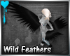 D~Wild Feathers: Black