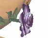[Ash]purple rose tango/F