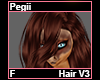 Pegii Hair F V3