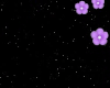 IP Violet  Roses Effect