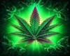 GREEN WEED SIGN
