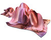 Ballet Cuddle Blanket