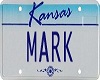 {V} Mark Licence Plate