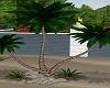 Tropic Palm Tree