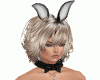 N. Sexy Rabbit Girl Set