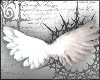 i have wings