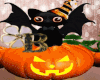 B♛|Pumpkin Witch Cat