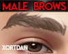 *LK* Male Brows