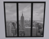 City Window