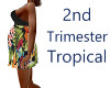 2nd Trimester Tropical