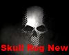 Skull Rug New