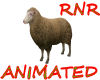~RnR~FARM SHEEP ANI