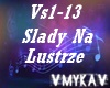 SLADY NA LUSTRZE