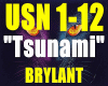 /Tsunami-BRYLANT/