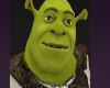Shrek Cartoons Ogar Halloween Costumes Green Monsters Funny Load