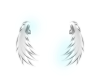 ~Angel Wings~