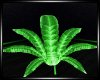 Pot Leaf  Chair
