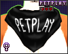 Petplay scarf!