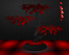 *LRR* red & black plant5