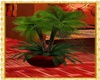 Marrakech Palm 2
