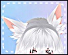 *Y* Fox Ears Yuki