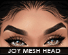 ! joy mesh head | t2